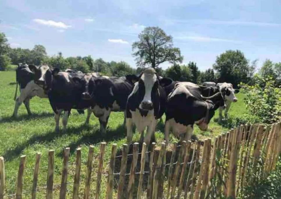 Statige Boerderijwoning Met Vrij Uitzicht En Tuin Villa Hoogzand Ngoại thất bức ảnh